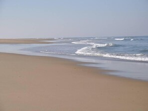 Plage à proximité