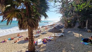 Une plage avec des chaises longues, des parasols et des palmiers.