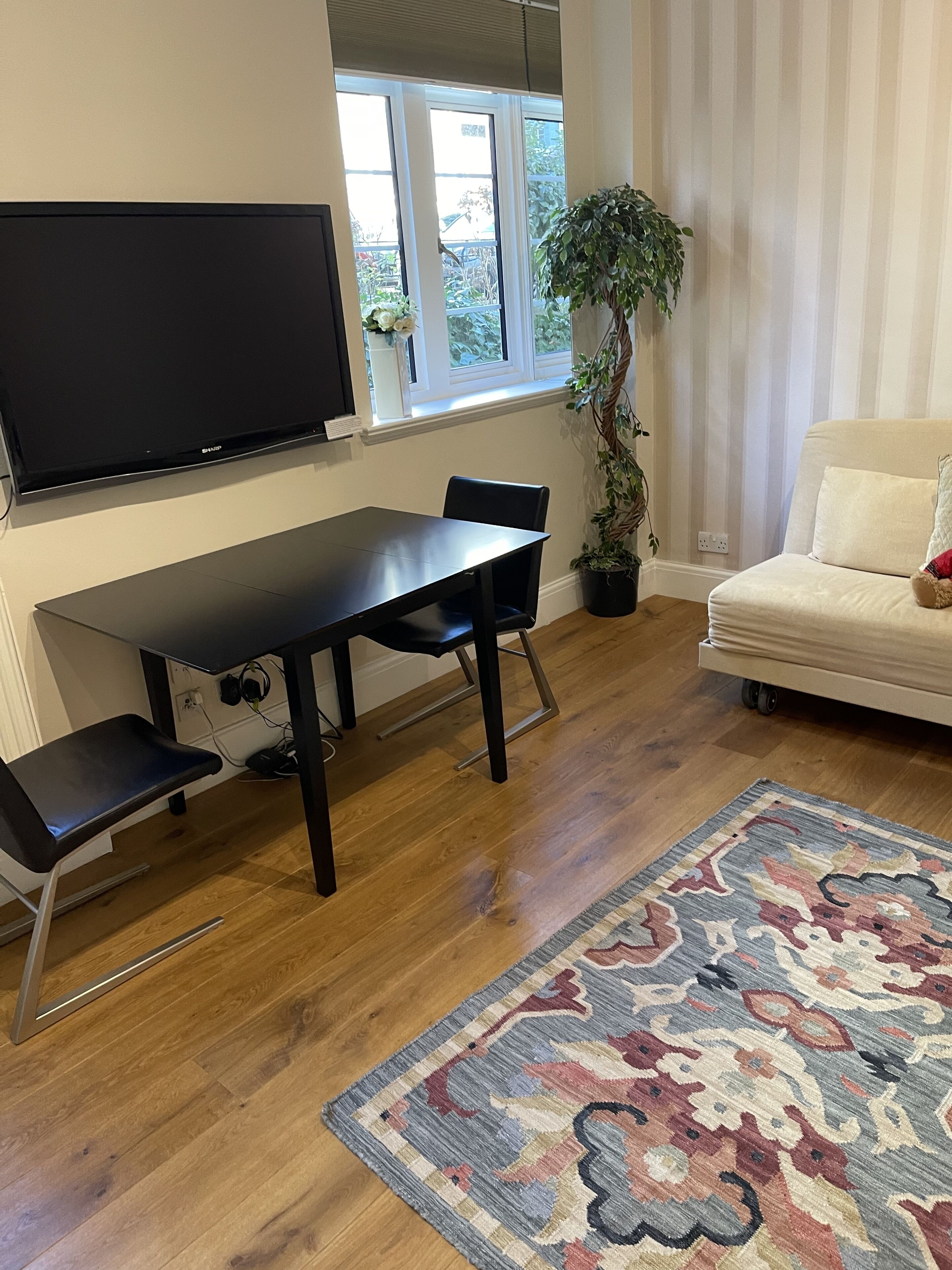 A living room with a flat-screen TV mounted on the wall, a dining table with chairs, a potted plant, a sofa, and a patterned rug.