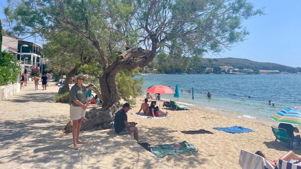Une scène de plage avec des personnes qui prennent un bain de soleil, un grand arbre et une vue sur la mer.