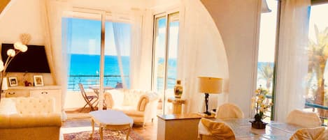 Televisio, DVD-soitin, kirjoja, musiikkikirjasto