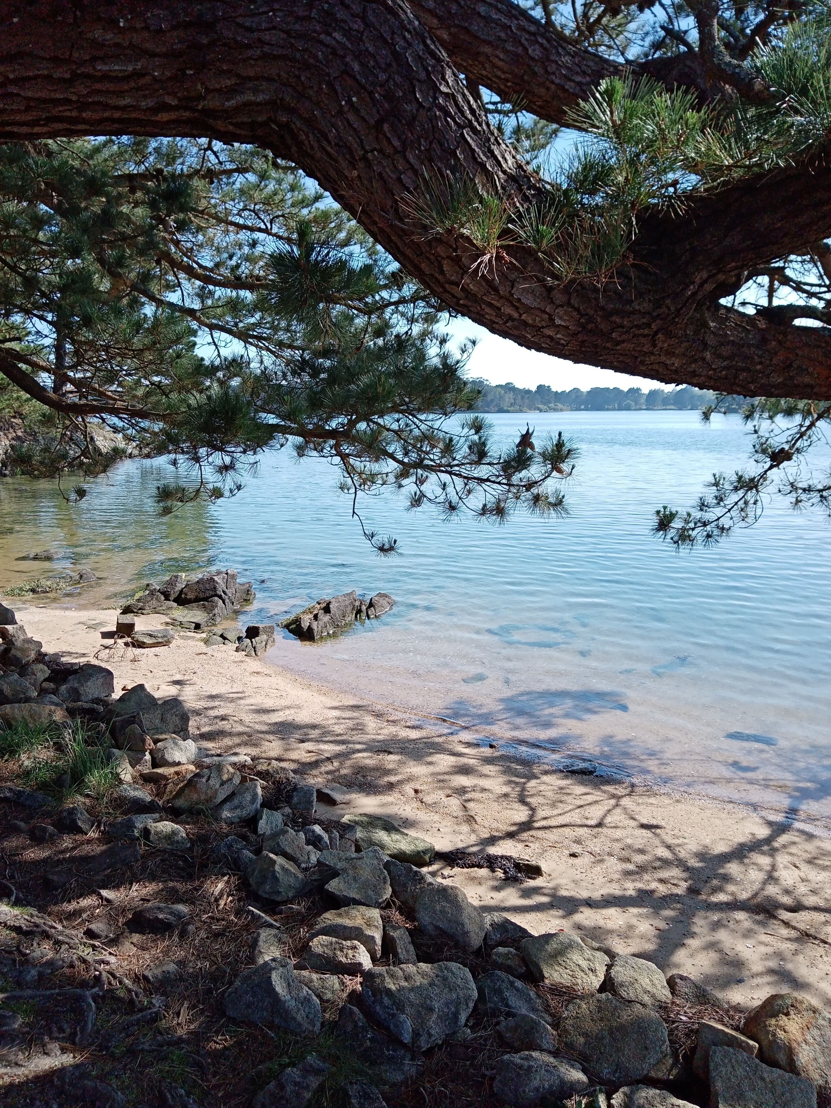 Beach nearby, sun-loungers