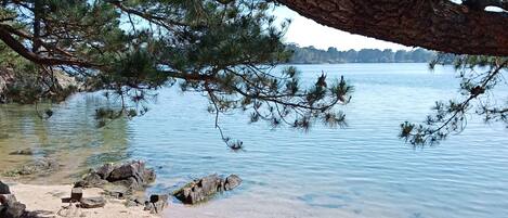 Beach nearby, sun-loungers
