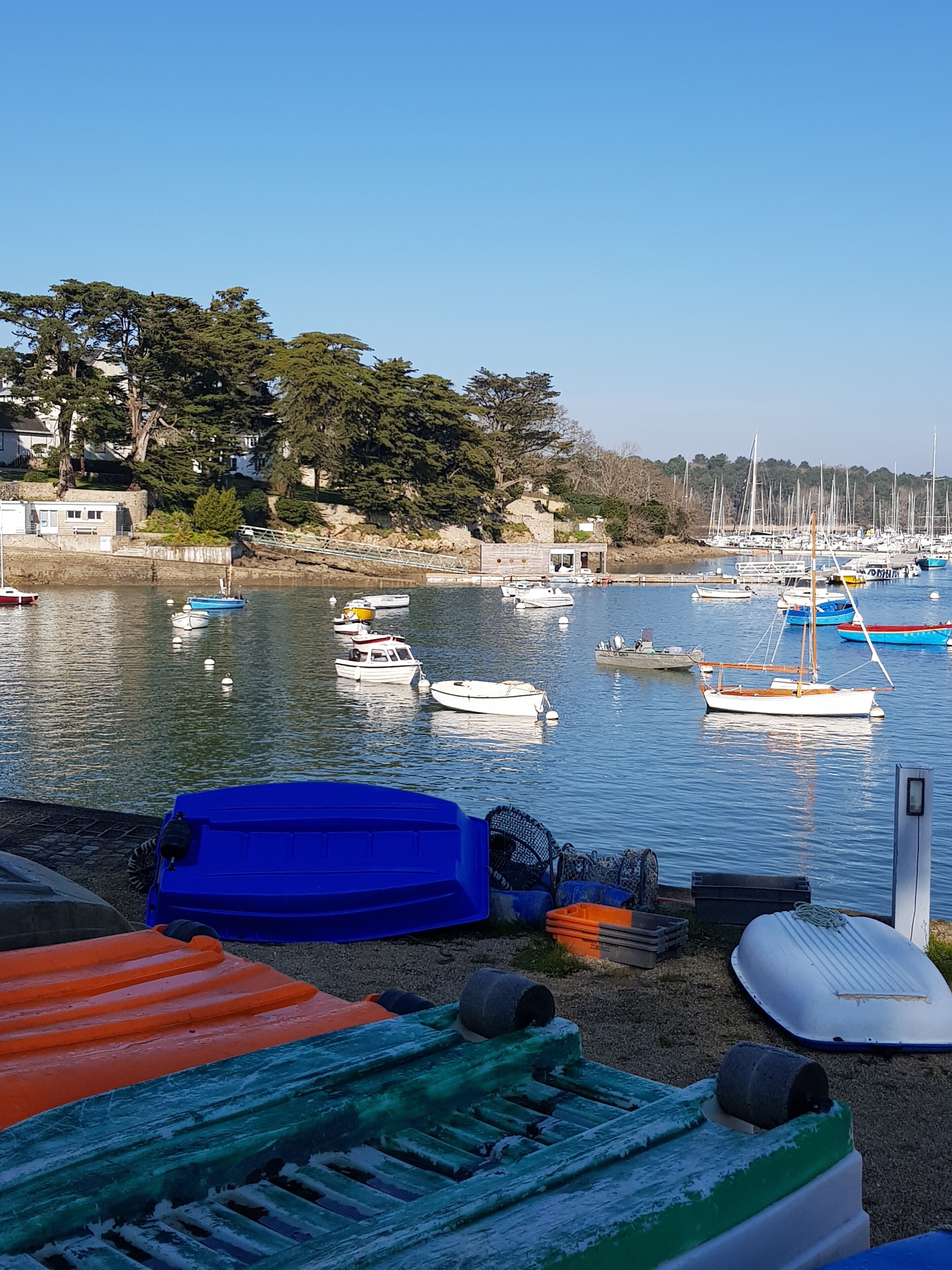 A marina with various boats docked, a clear sky, and buildings in the background.