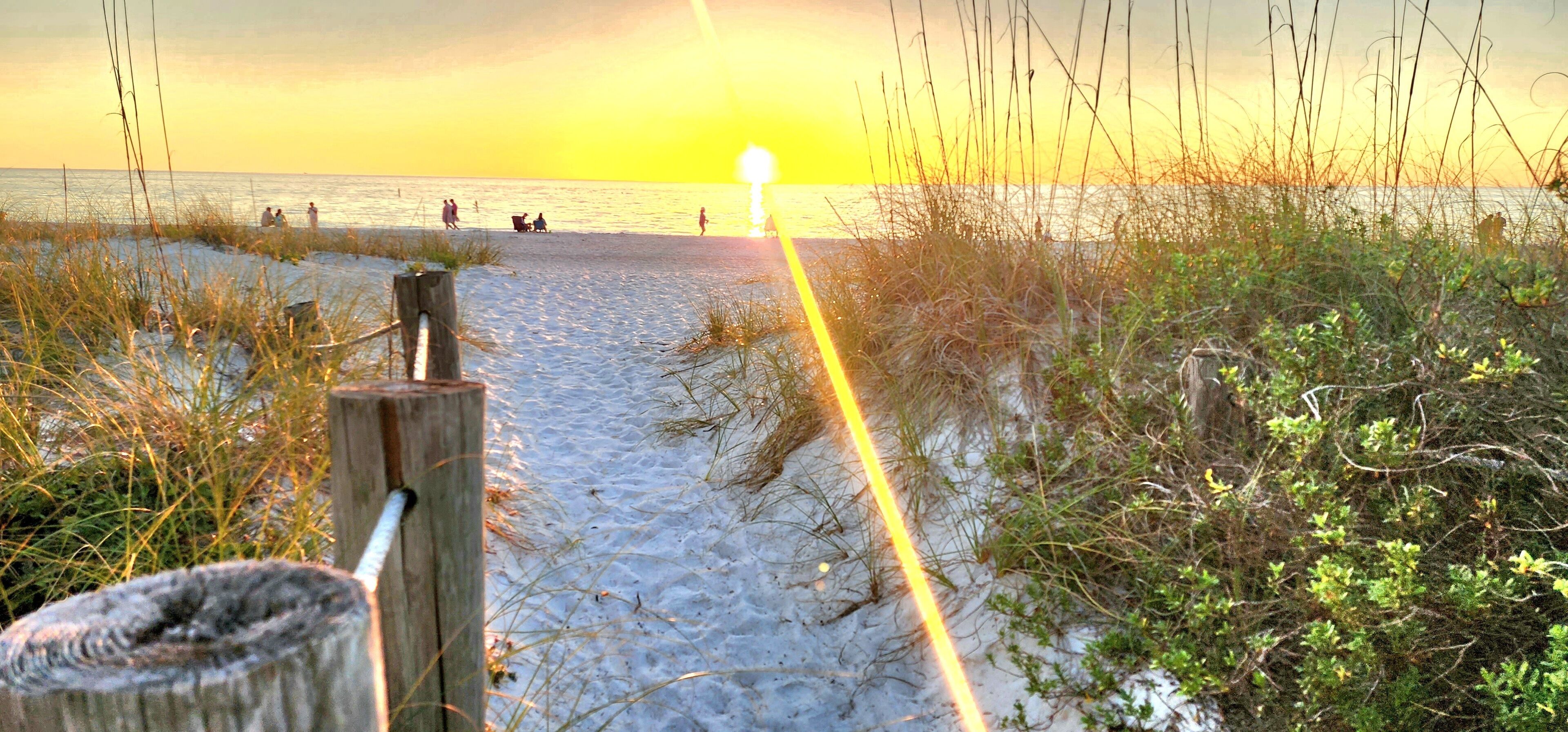 بالقرب من الشاطئ، كراسي للتشمس