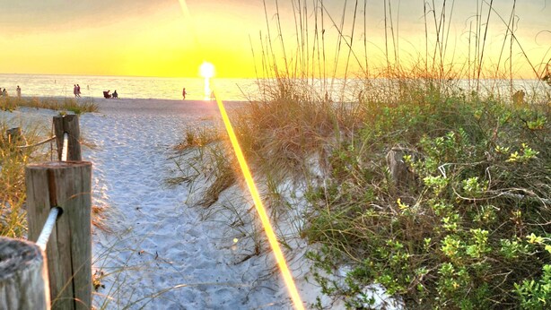 A beach path leading to the sea with a wooden post and vegetation on the sides. - Bright, corner unit, with open floor plan and views from nearly every room!  (Bradenton Beach, Anna Maria Island)