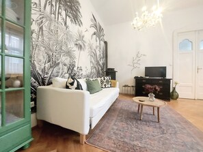 TV connectée, cheminée, lecteur de DVD, livres