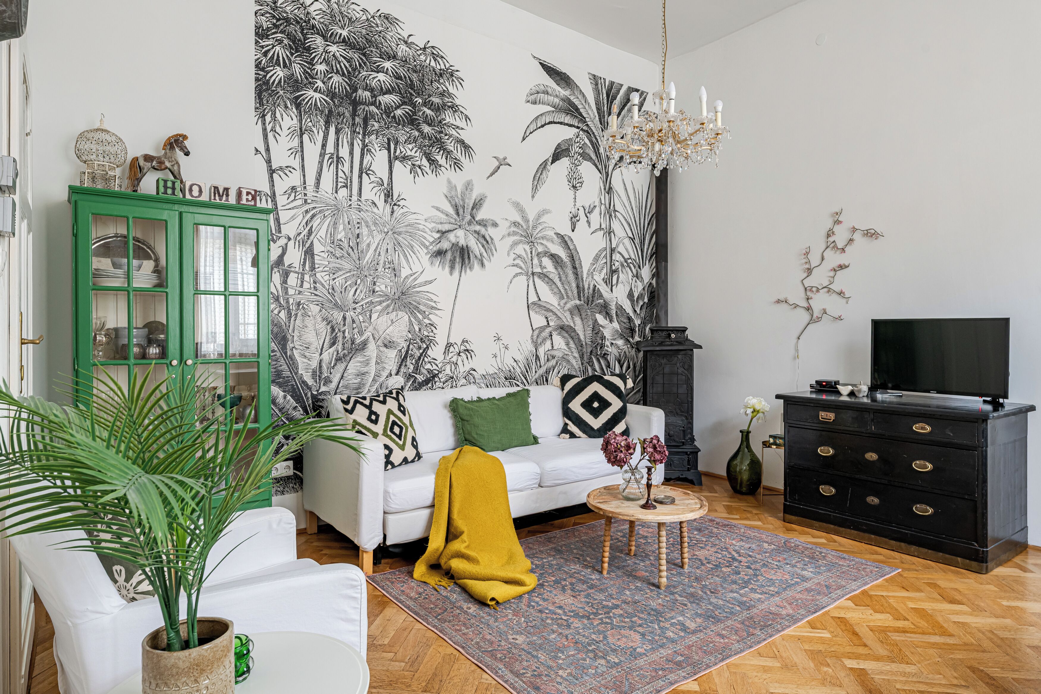 Smart TV, fireplace, DVD player, books