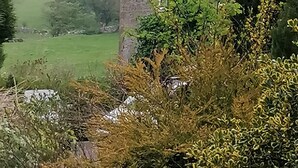 A stone cottage with a small window, surrounded by dense shrubbery and a green field in the background. - Comfortable and spacious apartment in Middleton-by- Youlgrave near Bakewell.  (Middleton-by-Youlgrave)