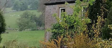 المنطقة المحيطة بالمنشأة