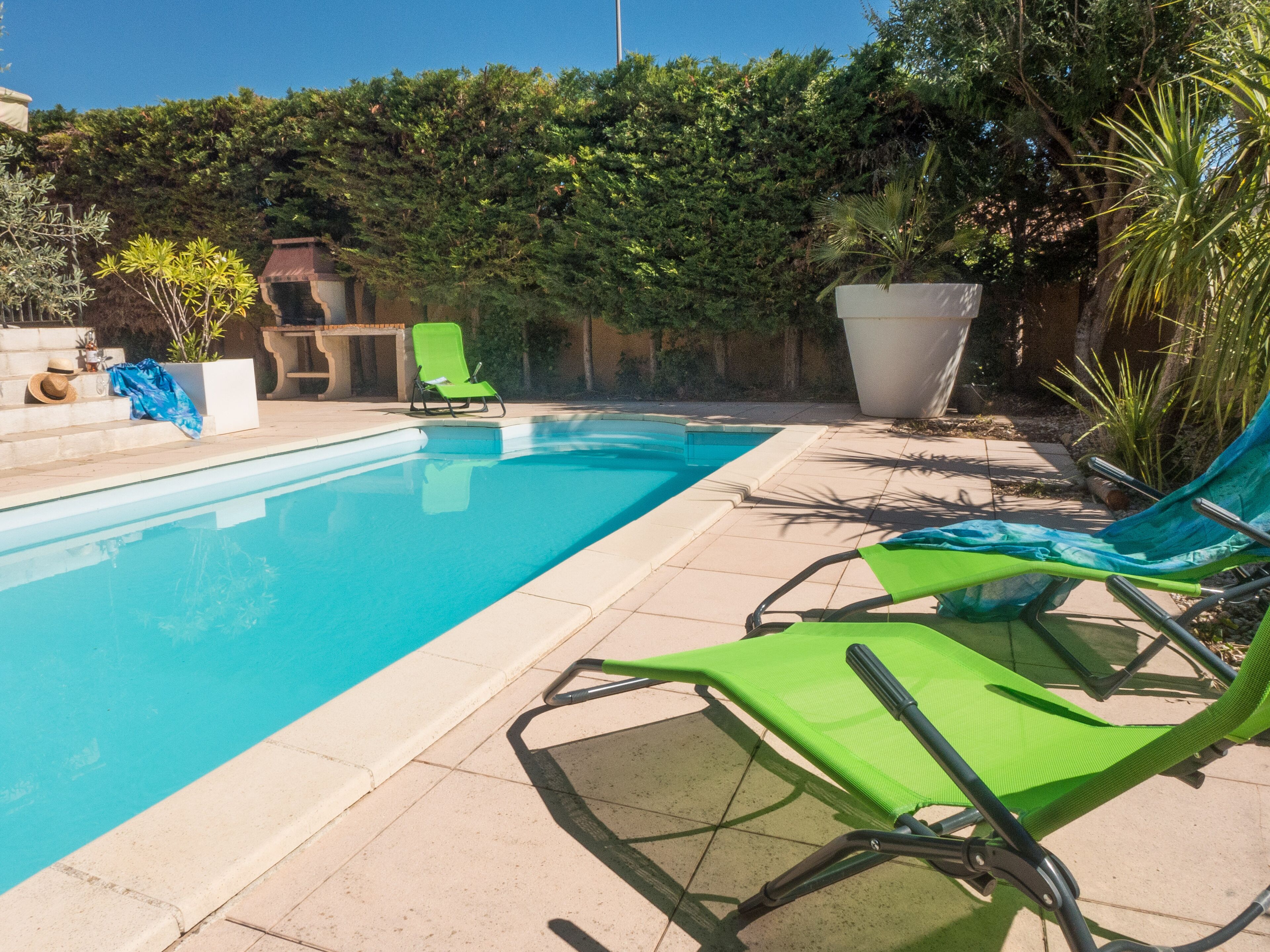 Piscina con dos sillas reclinables verdes, una planta en maceta y un muro de piedra con vegetación al fondo.