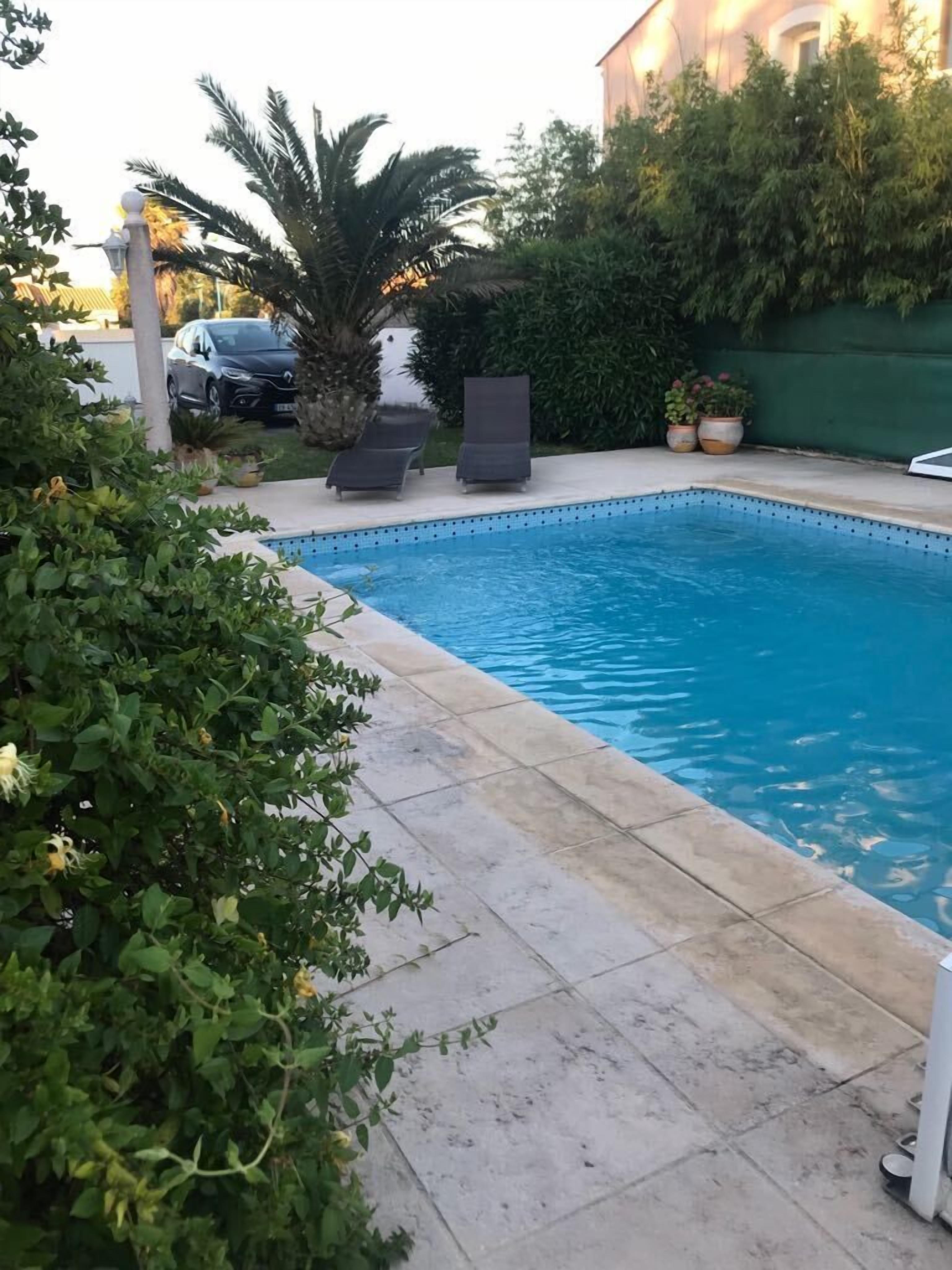 Une piscine rectangulaire dont le bord est recouvert de carrelage, entourée d’une terrasse en béton. On aperçoit deux chaises longues et un palmier à l’arrière-plan.