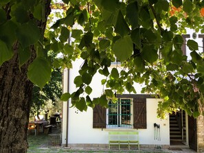 Exterior - Roncosambaccio:  Villa  surrounded by  olive trees very close to the beach ) (Roncosambaccio)