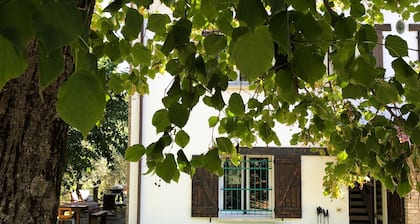Roncosambaccio: Villa surrounded by olive trees very close to the beach )