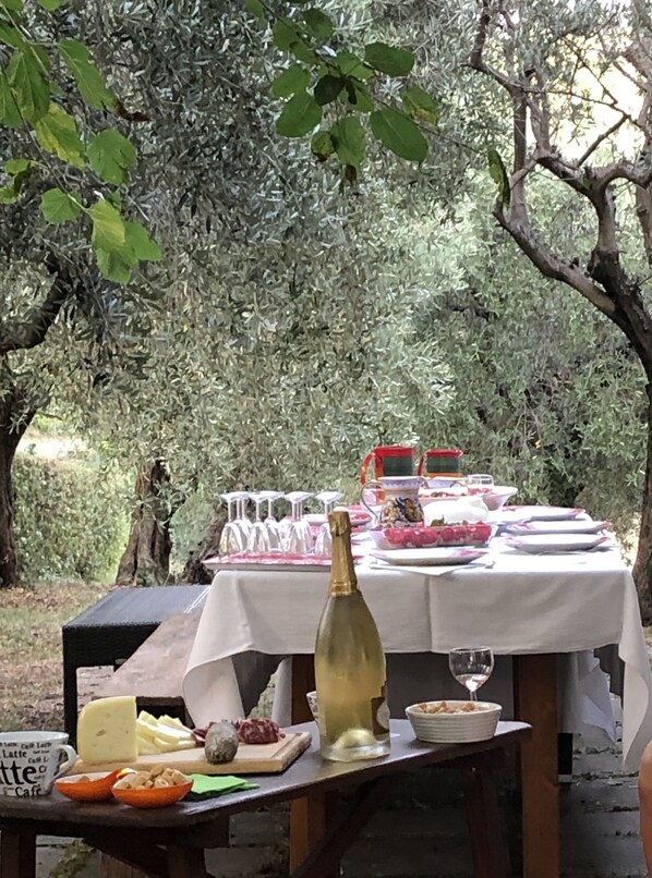 Outdoor dining - Roncosambaccio: Villa surrounded by olive trees very close to the beach ) (Roncosambaccio)