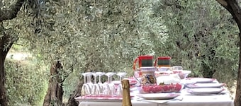 Roncosambaccio:  Villa  surrounded by  olive trees very close to the beach )