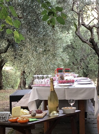 Roncosambaccio:  Villa  surrounded by  olive trees very close to the beach )
