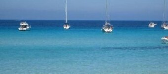 Apartment/ flat - Sartène