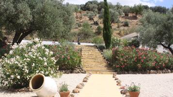 Terrein van de accommodatie