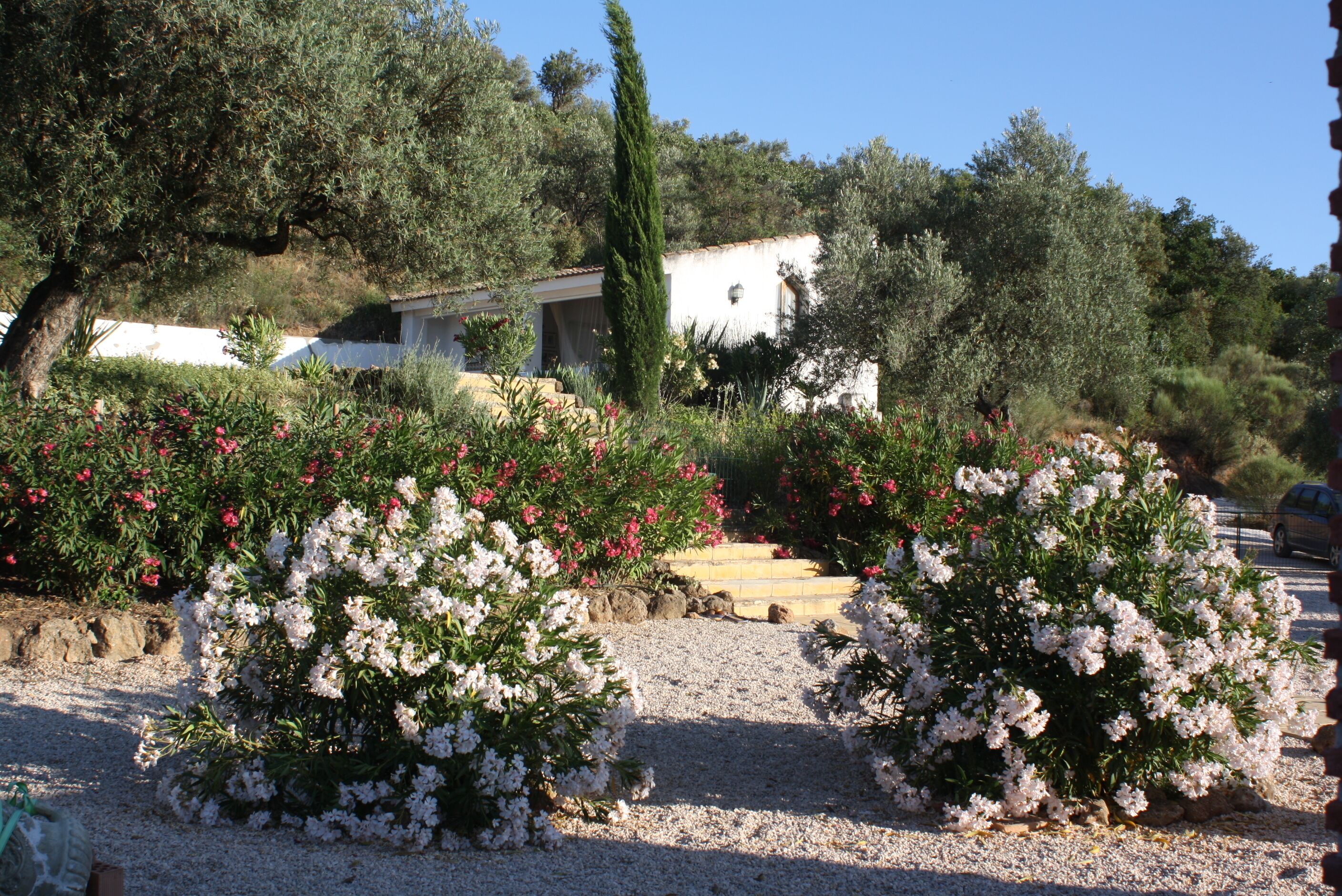 Jardines del alojamiento