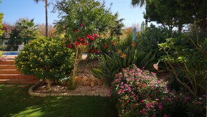 Un jardin avec différentes plantes et fleurs, un mur de pierre et un ciel bleu dégagé.
