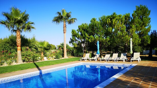 Une piscine dont le bord est revêtu de carrelage, entourée de chaises longues et de palmiers.