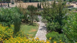 A garden with yellow flowers, a stone pathway, and a view of distant hills.
