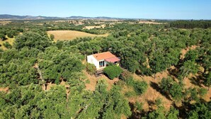 Ein kleines Haus, umgeben von dichtem Grün, vermutlich ein Weinberg, mit freiem Blick auf die umliegende Landschaft.