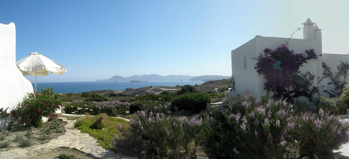 Imagen de perfil del propietario o de la propietaria