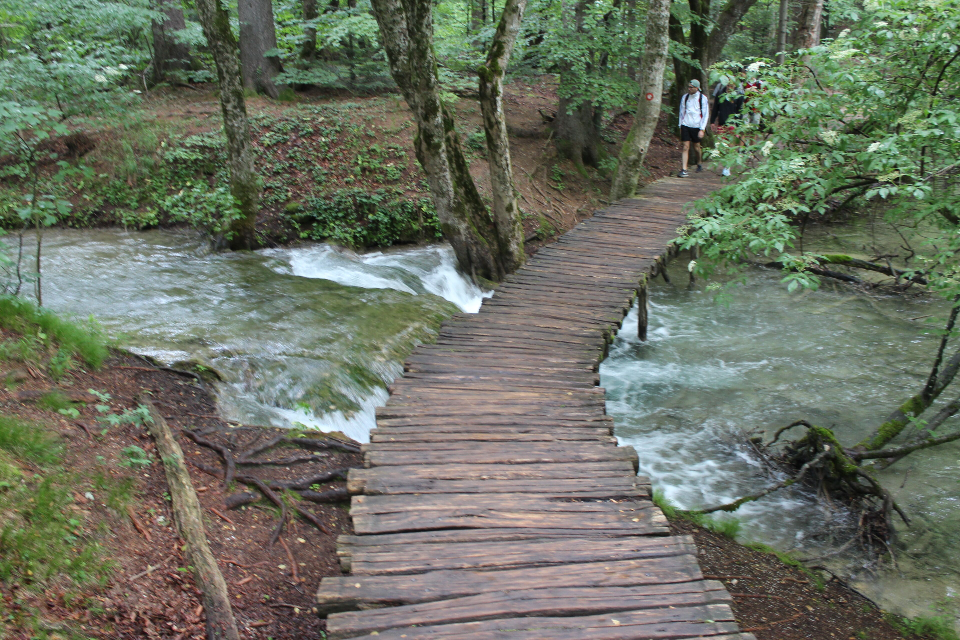 A wooden bridge over a flowing river in a forested area.