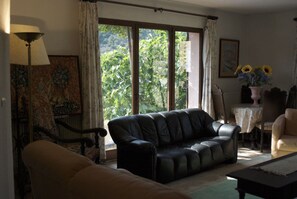 Een televisie, een open haard en boeken