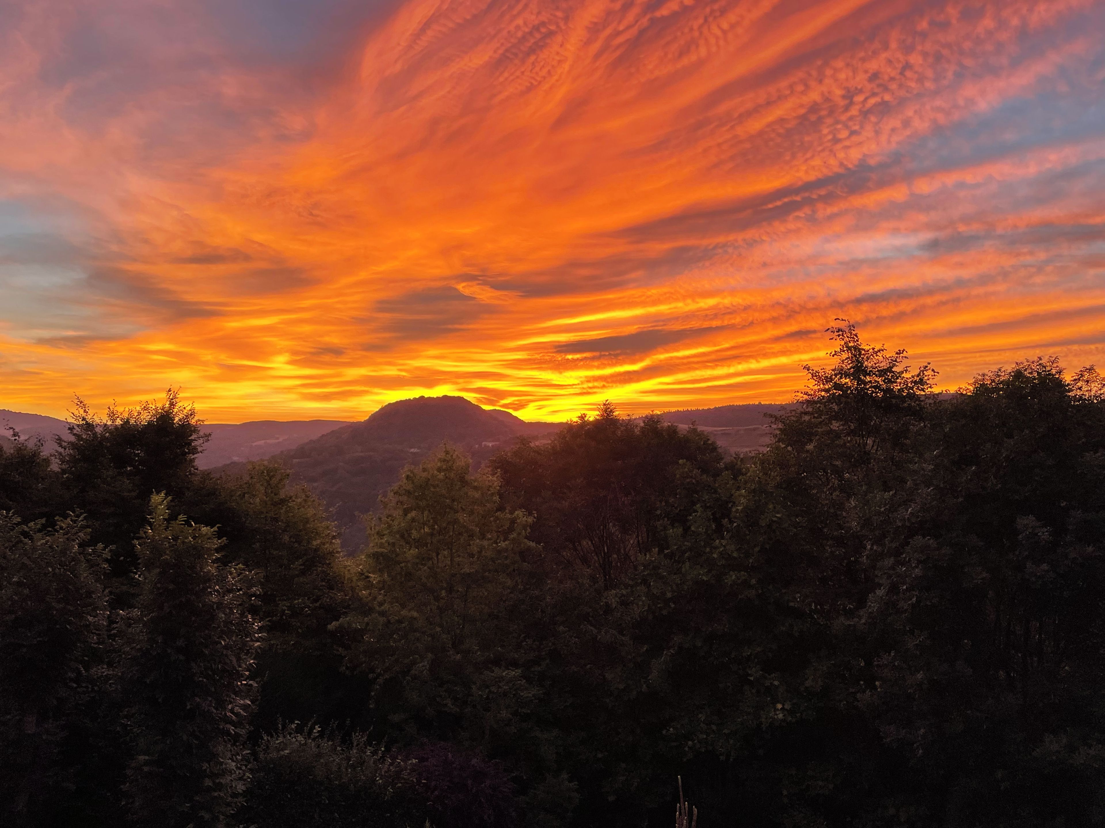 Atardecer sobre un paisaje montañoso con un denso bosque en primer plano.