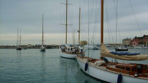 Een jachthaven met diverse zeilboten afgemeerd, met houten dekken en masten.