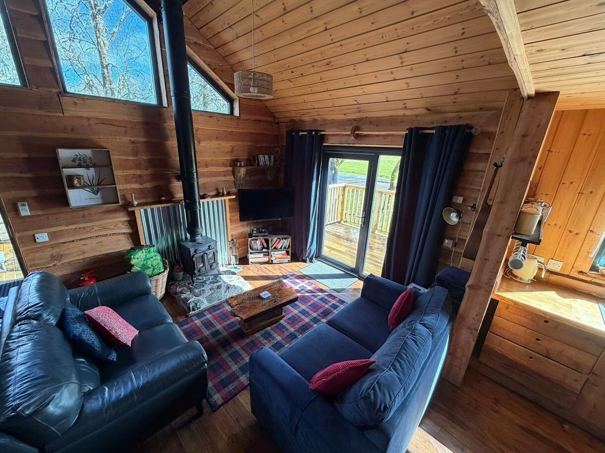 Smart TV, fireplace, DVD player, books