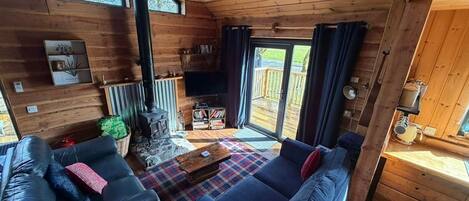 Smart TV, fireplace, DVD player, books