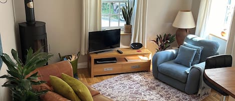 Smart TV, fireplace, DVD player, stereo