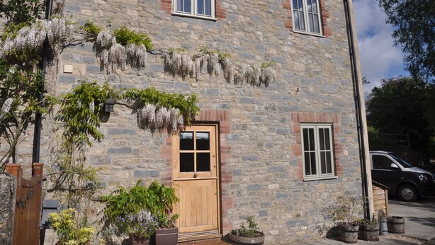 A stone building with a wooden door and windows, surrounded by greenery and potted plants. - Cottage In Prestleigh, Somerset, England (Prestleigh)