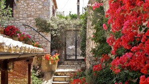 Un callejón estrecho con edificios de piedra, una reja metálica y coloridas flores rojas.