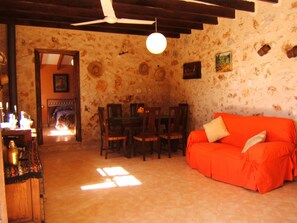 TV, caminetto, libri