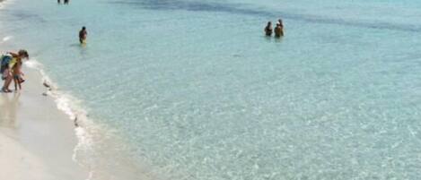 Plage à proximité, chaises longues, serviettes de plage