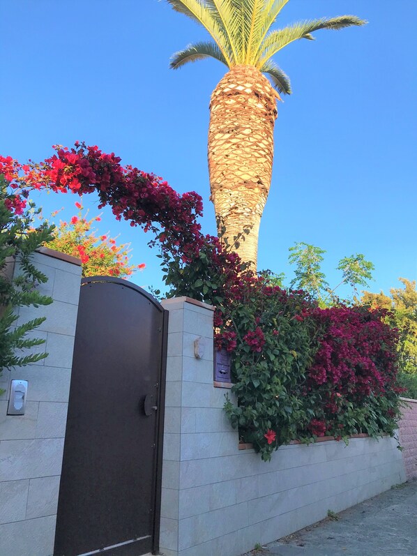 Un palmier, une entrée fermée par un portail et des plantes à fleurs rouges.