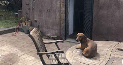 Casa / villa / chalet - Piedimonte Etneo
