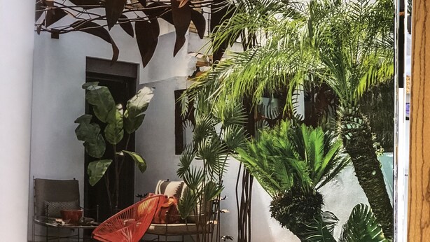 Un espace piscine avec une maison blanche, des palmiers et un parasol rouge.