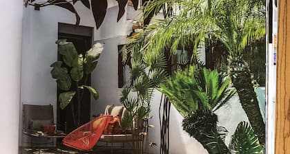 Luxury Villa in center ville WIFI swimming pool, air conditioning and garage