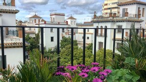 Un balcon donnant sur des bâtiments blancs, avec une balustrade noire et des fleurs violettes.