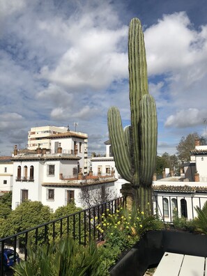 Property grounds - Luxury Villa in center ville WIFI swimming pool, air conditioning and garage (Sevilla)