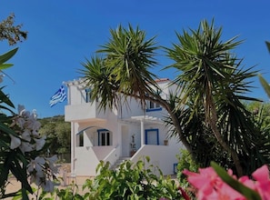 A white building with blue accents, a flag, and tropical plants.
