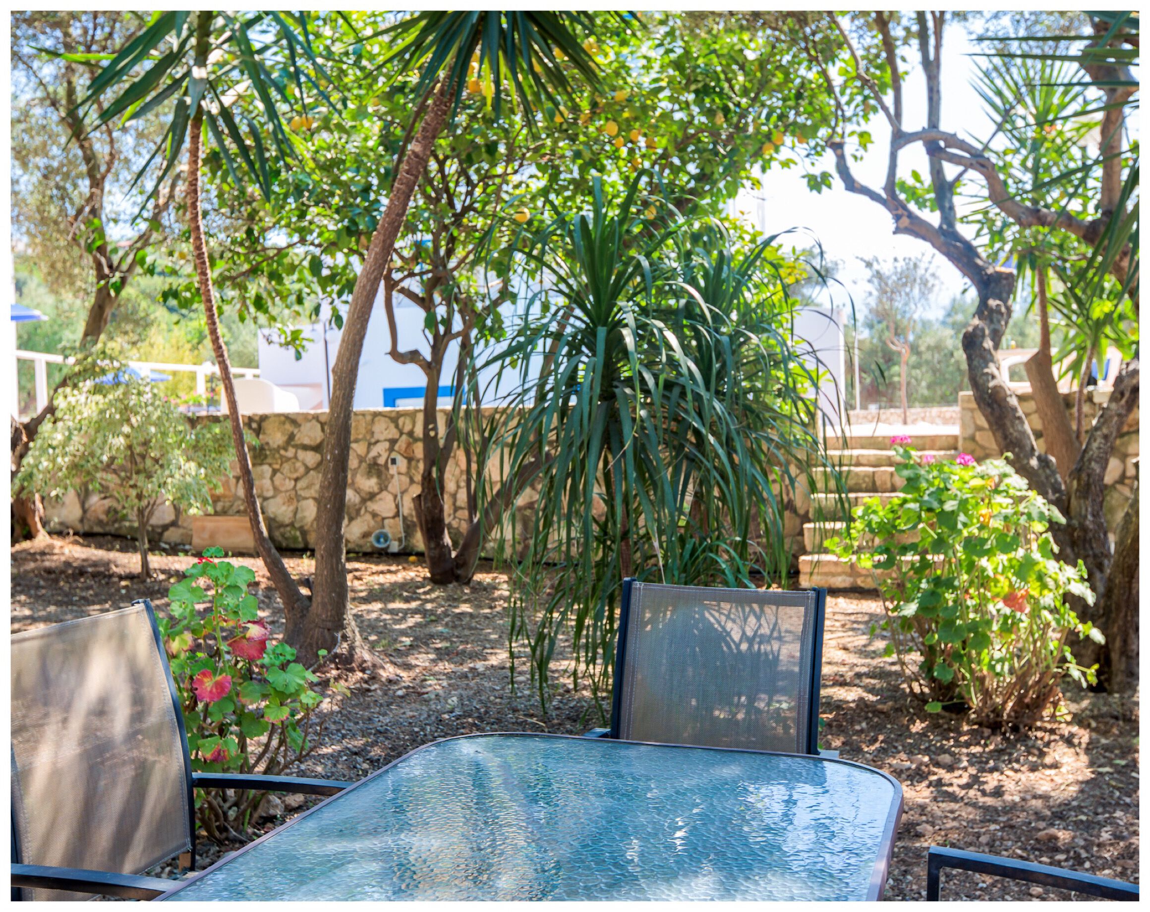 An outdoor seating area with a table and chairs, surrounded by trees and plants.