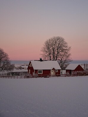 Eksteriør