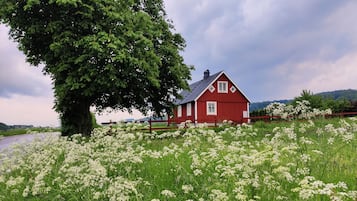 Eine rote Scheune mit einem großen Baum im Vordergrund und einem Feld voller weißer Blumen.